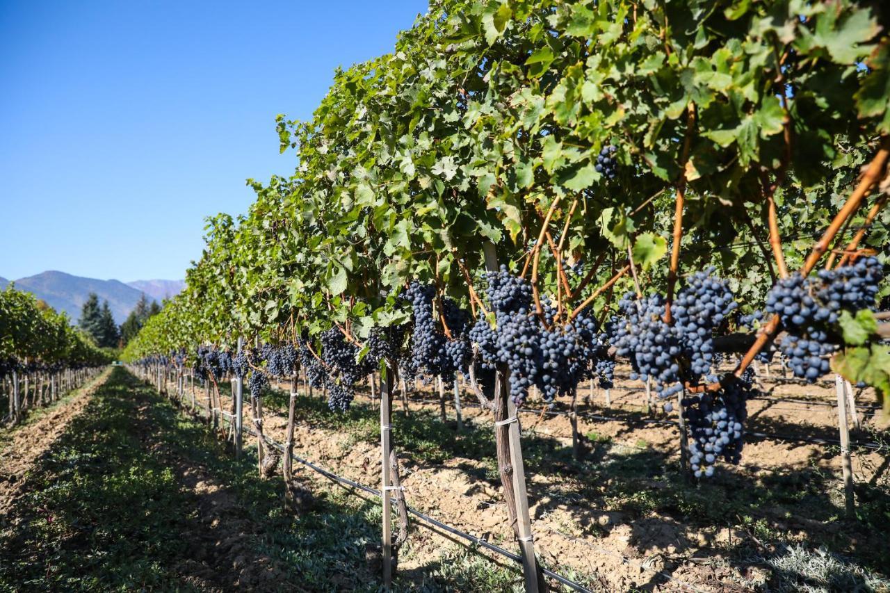 Uva Nestum Wine & Spa Gotse Delchev ภายนอก รูปภาพ